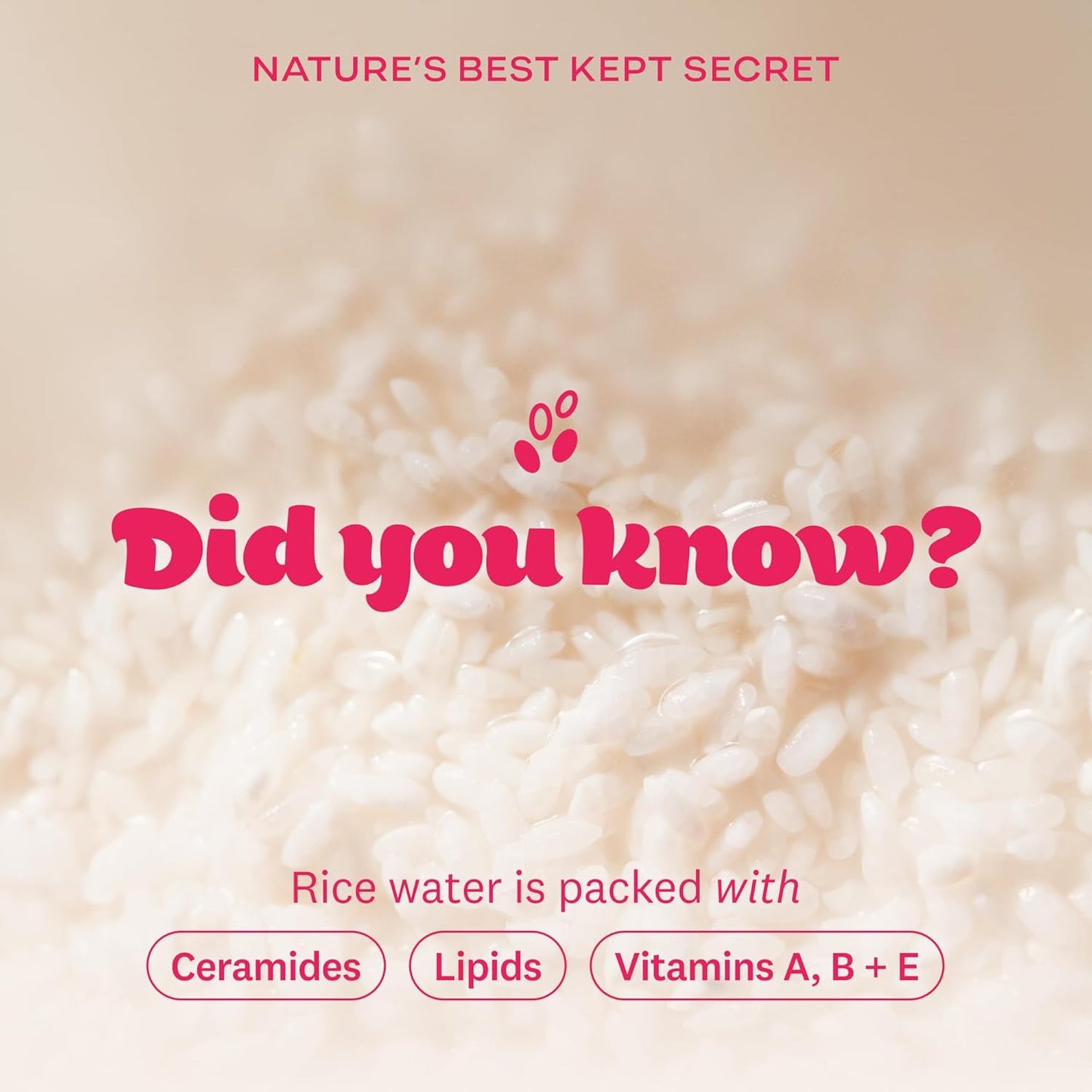The Face Shop Rice Water Bright Foaming Cleanser Jumbo (300ml)