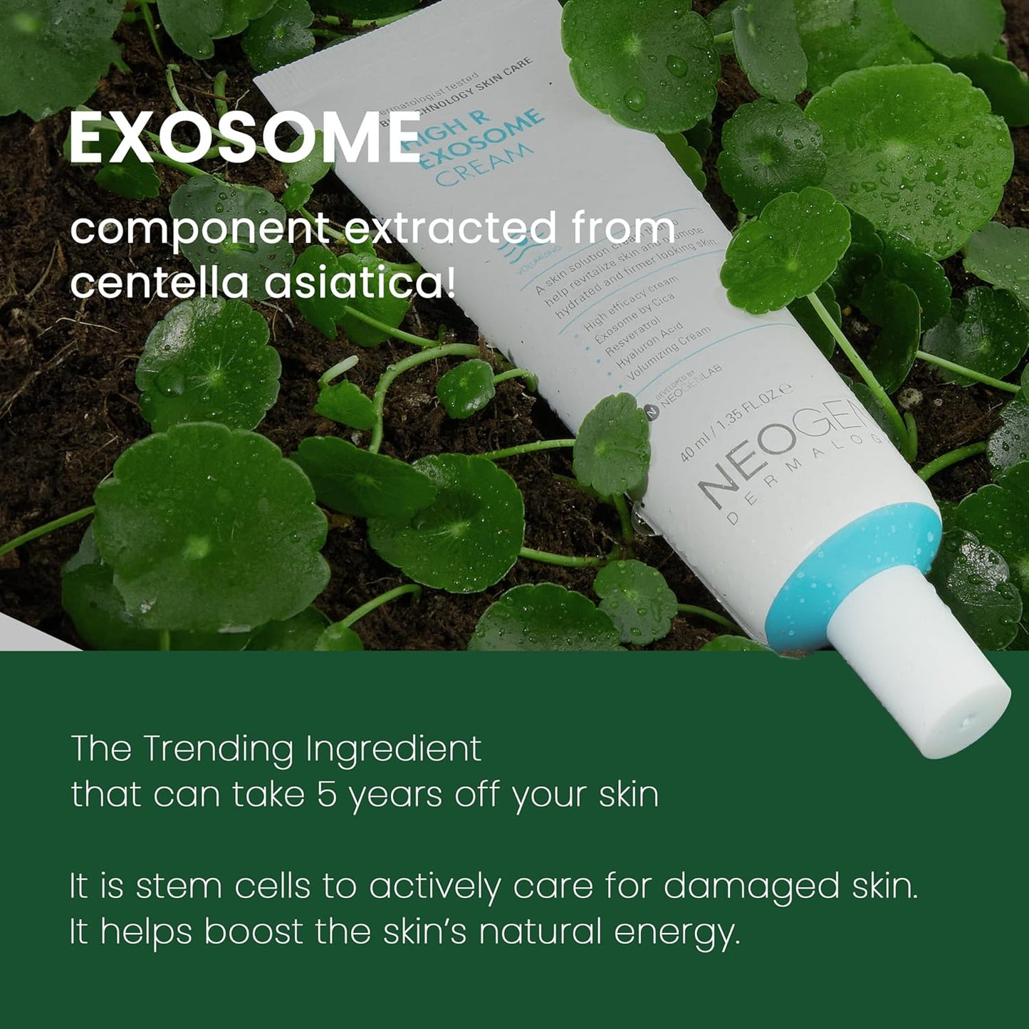 Neogen - Dermalogy High R Exosome Cream (40ml)